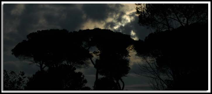 Incontri a Castel Fusano